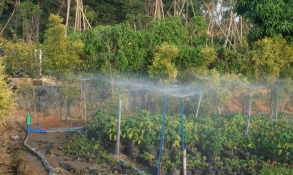 irrigation-19