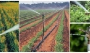 irrigation-23